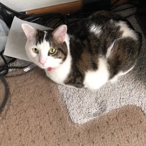 Meet your Posher, Kristina